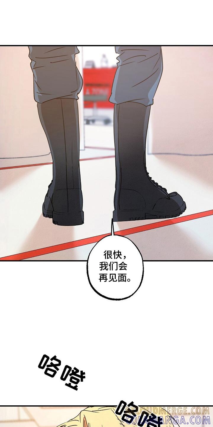 《重生在五年之后》第44章：等待结果 第17页