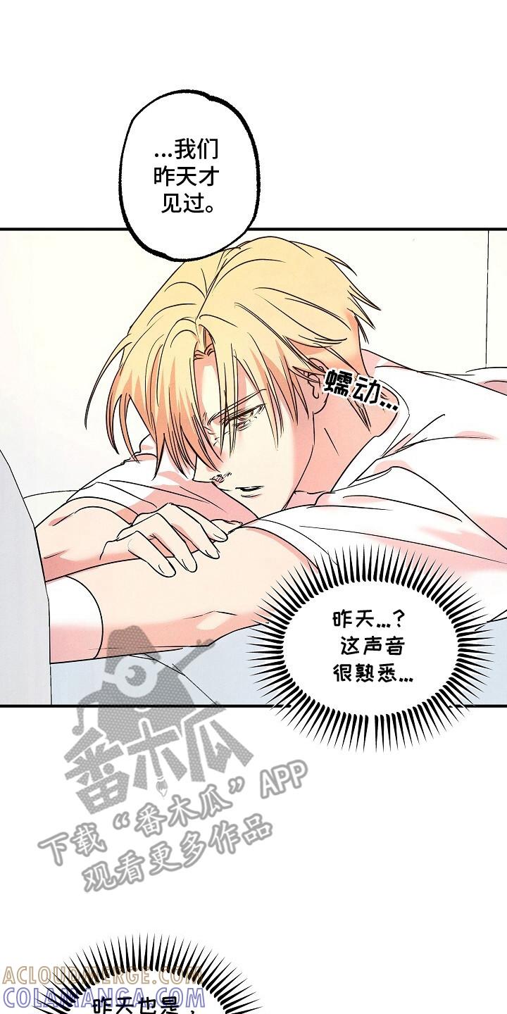 《重生在五年之后》第44章：等待结果 第15页