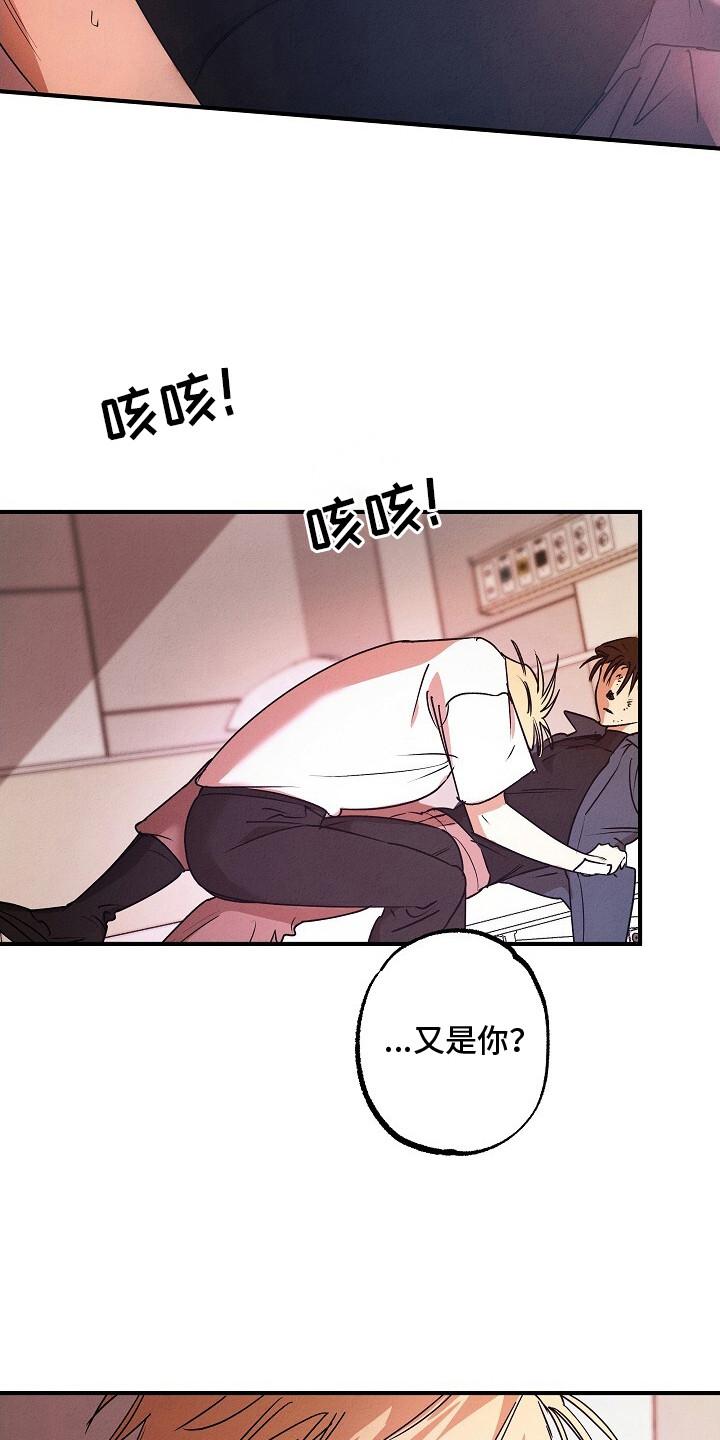 《重生在五年之后》第46章：契合数值 第12页