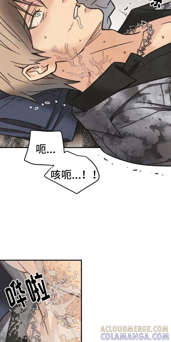 《绝密追缉》第9章：昏迷 第15页