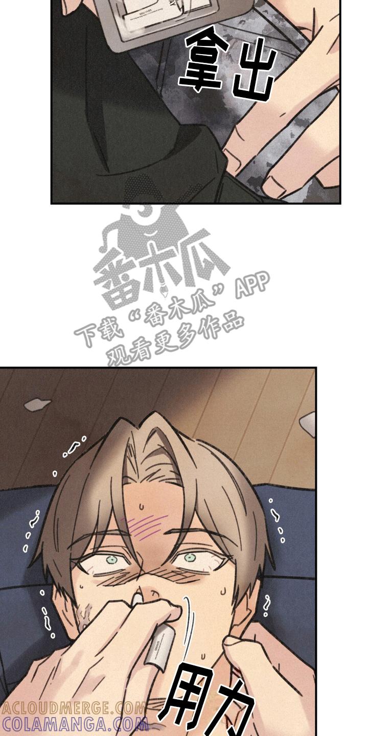 《绝密追缉》第9章：昏迷 第13页