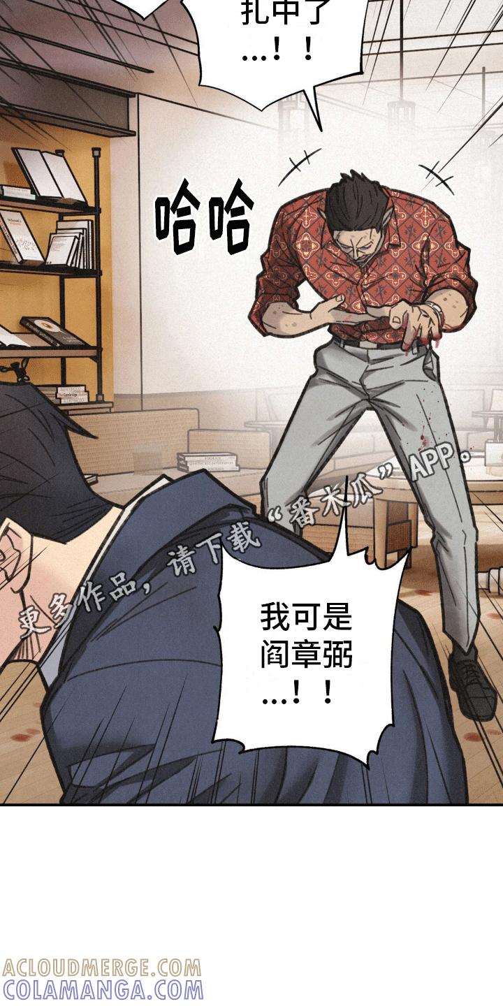 《绝密追缉》第9章：昏迷 第7页