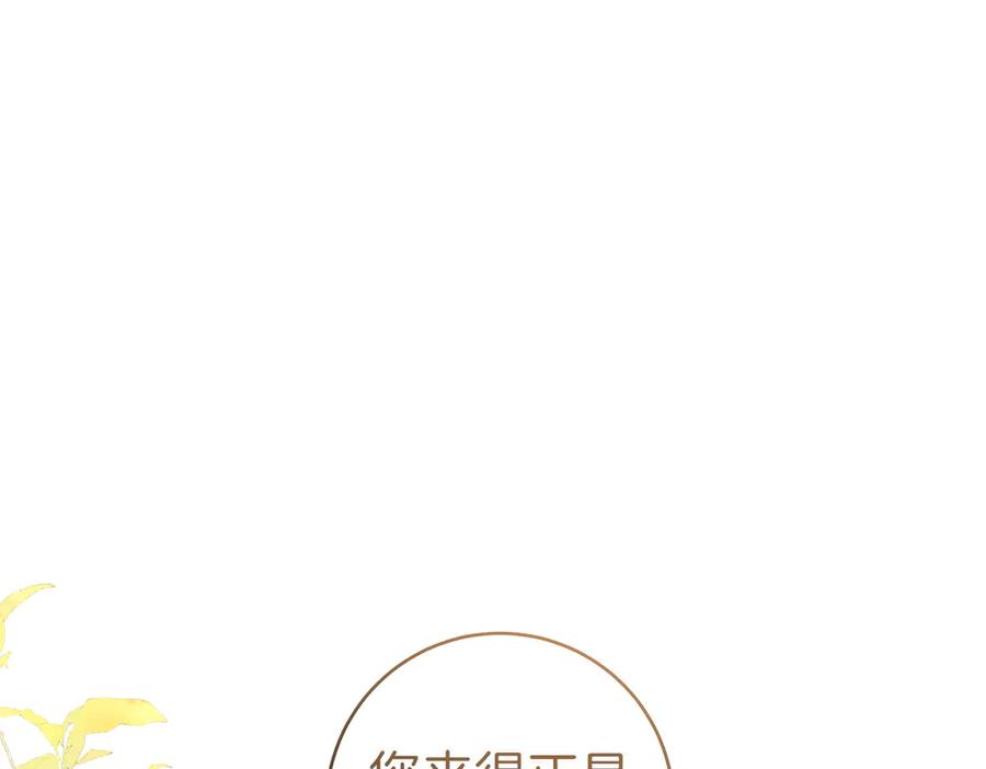 《这个婚绝对会成功》第30话 迂回战术 第196页