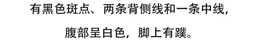 《胖达x胖达》第86话 第22页