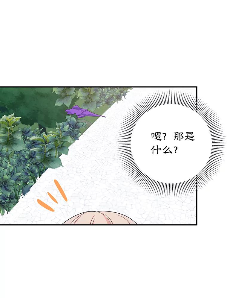 离婚后恶女专注烤蛋糕 - 8.意外 - 第81张图