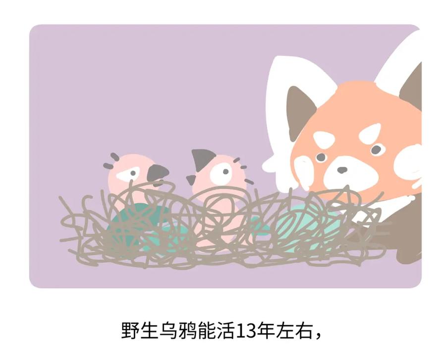 《胖达x胖达》第247话 第28页