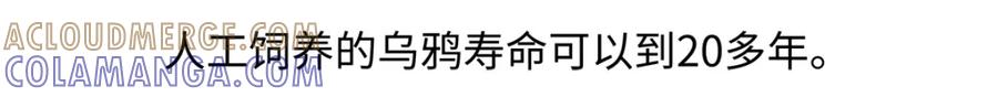 《胖达x胖达》第247话 第29页