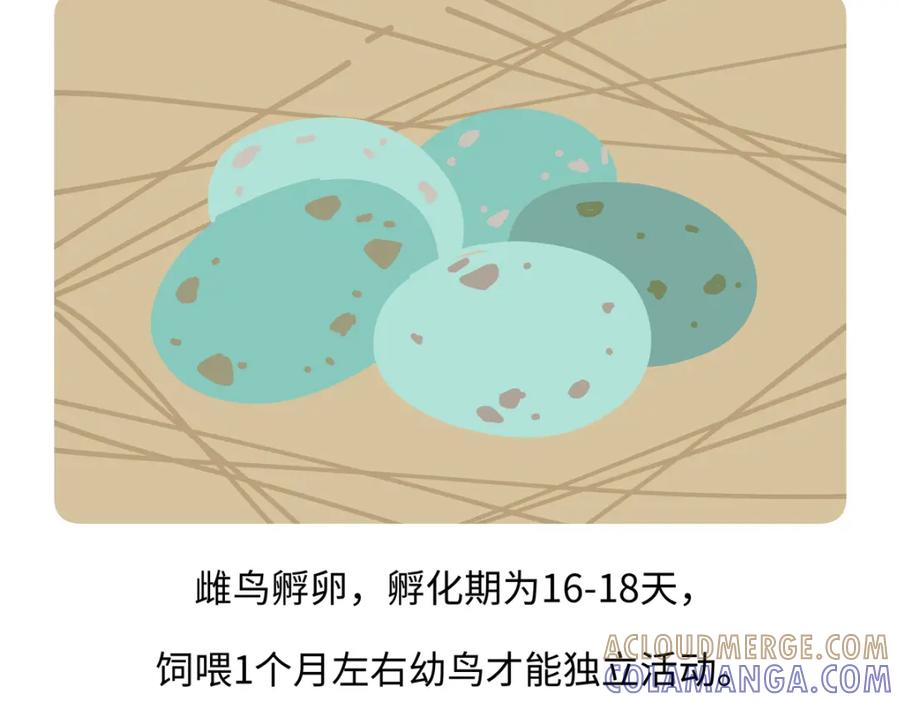 《胖达x胖达》第247话 第27页