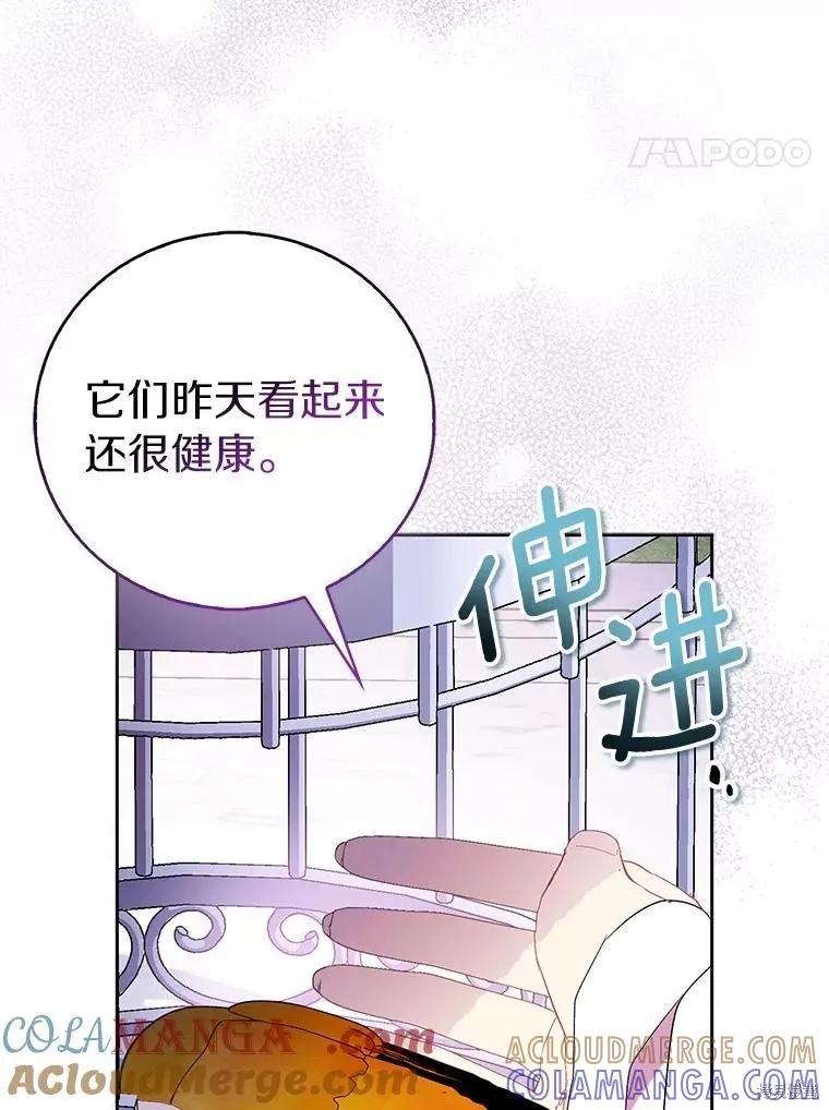 作为假圣女，却被众人迷恋？ 第69话 第33页