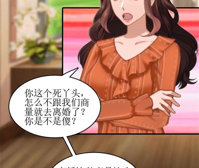 《误入婚途：叛逆娇妻不好惹》财产分割 第72页