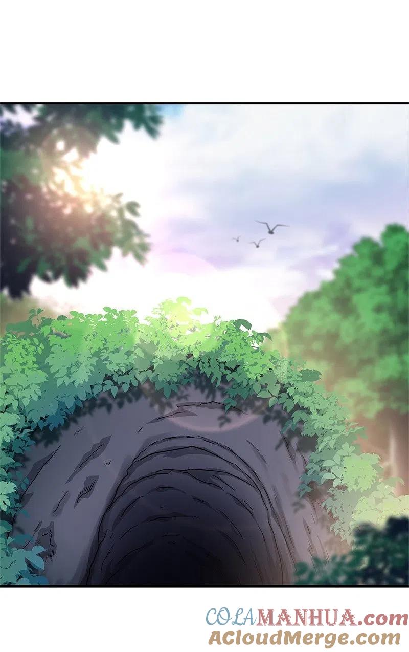 《绝世战魂》第358话 获得传承 第49页