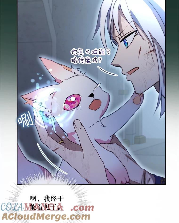 重生为神兽宝宝 - 42.意外的相遇 - 第61张图