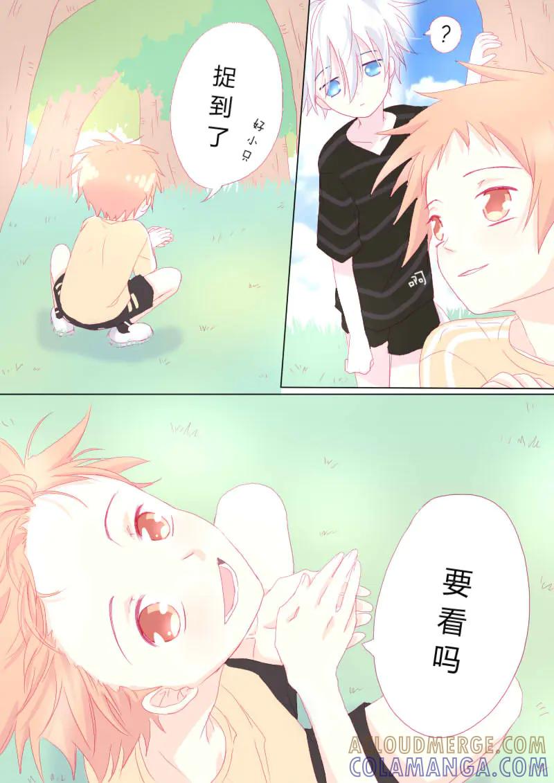 轻倾君声 叁拾陆 第6页