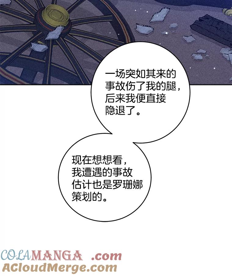 《怕冷的北部大公》48.开设宴会 第73页