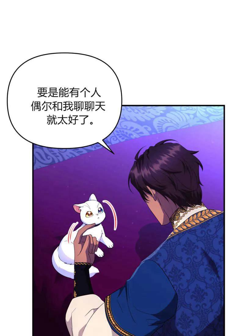 成为苏尔坦珍爱的猫咪 第34话 第51页