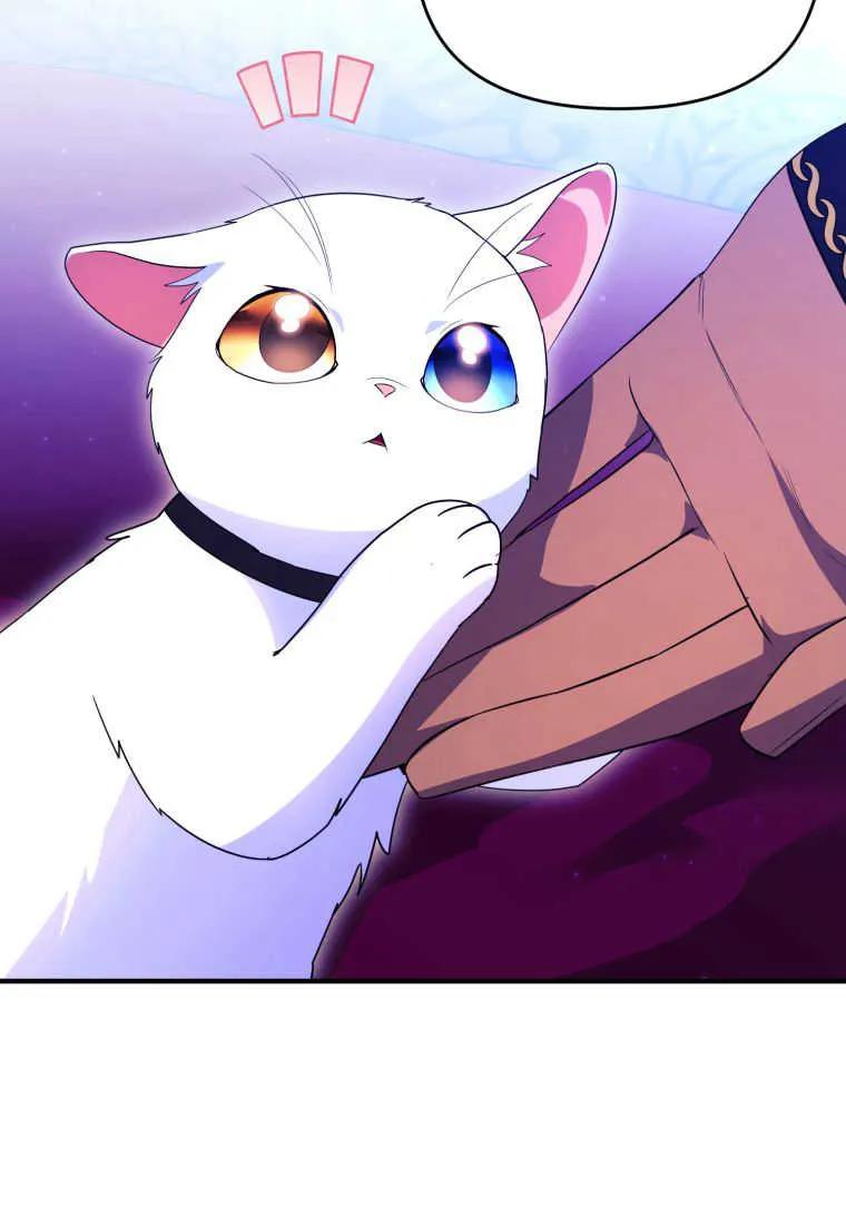 成为苏尔坦珍爱的猫咪 第34话 第50页