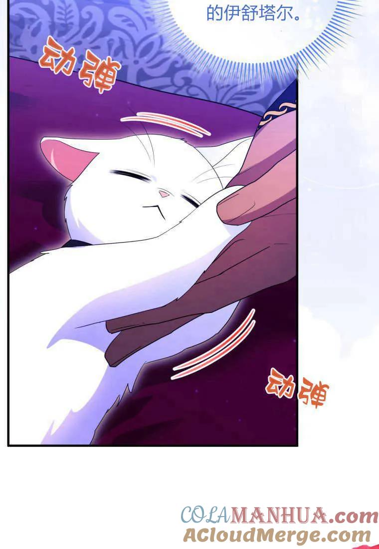 成为苏尔坦珍爱的猫咪 第34话 第45页