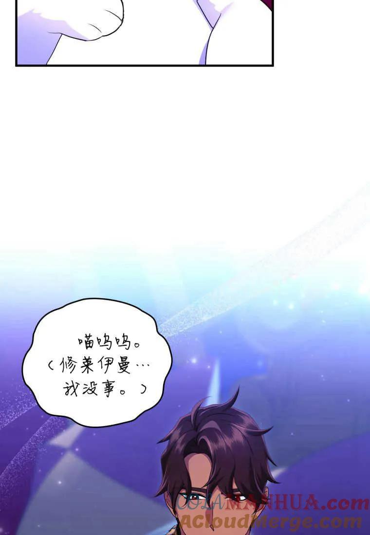 成为苏尔坦珍爱的猫咪 第34话 第41页