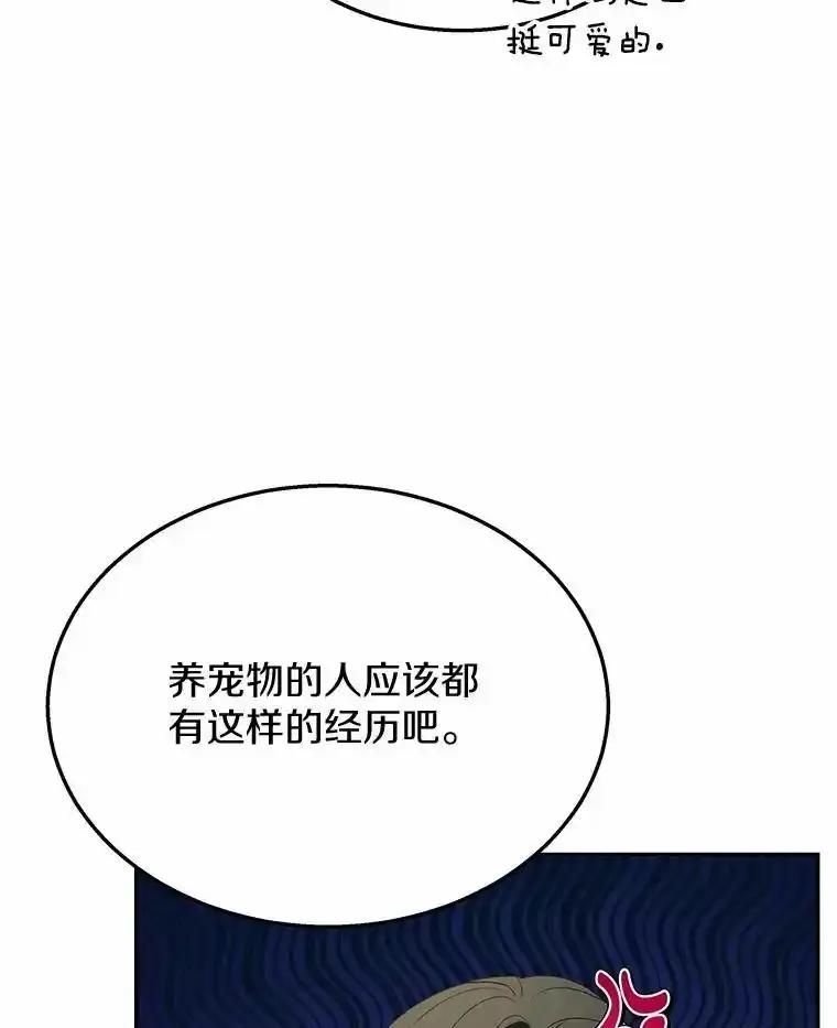 《你好？兽医先生！》62.动物的信号 第48页