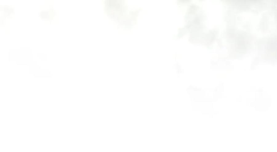 194.jpg