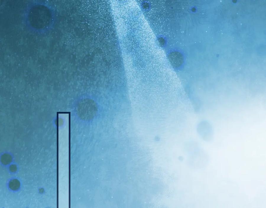 286.jpg