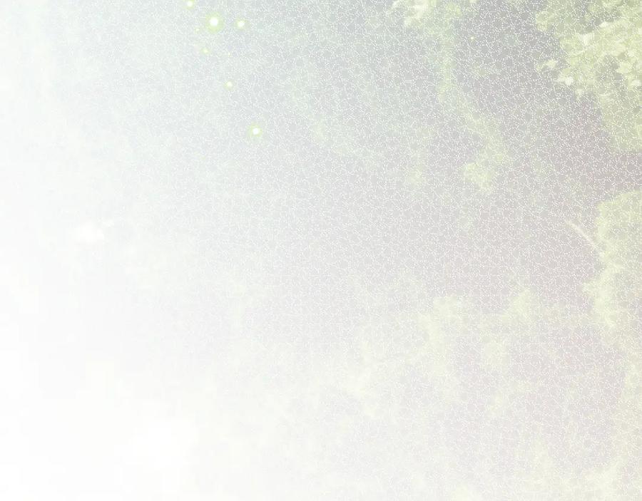 90.jpg