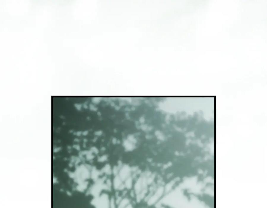 256.jpg