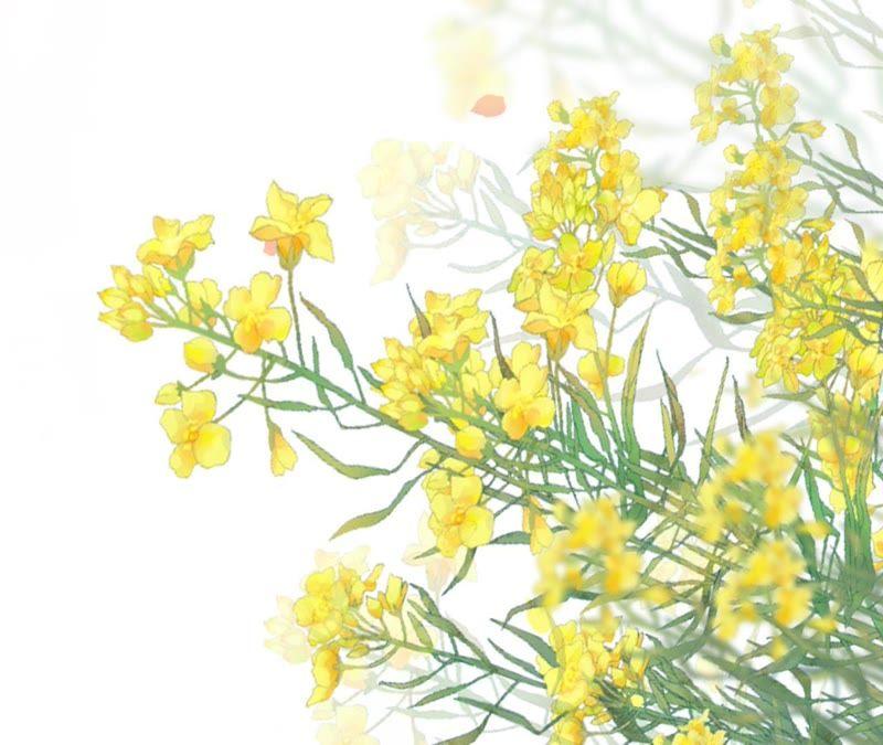 《女票芳龄30十》耍心机的小狼狗 第70页