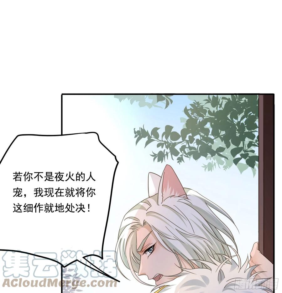 《君心不良》“前夫”上阵索妻 第7页