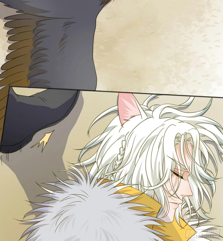 《君心不良》猪队友啊！ 第14页