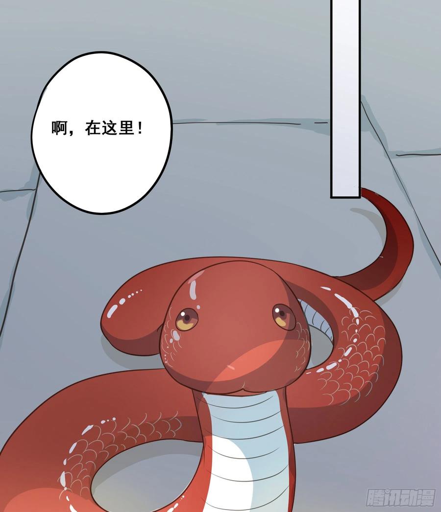 《君心不良》神纹荒狼 第41页