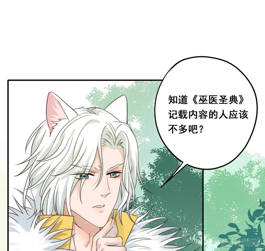 《君心不良》神纹荒狼 第3页