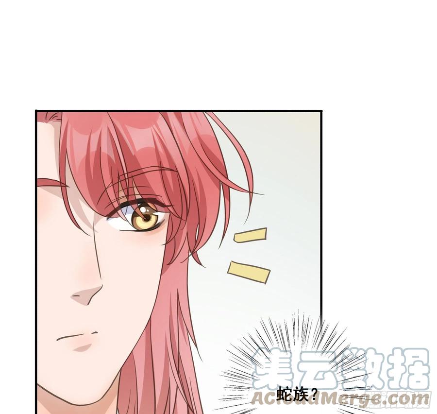 《君心不良》神纹荒狼 第34页