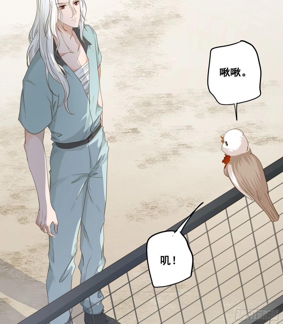 《君心不良》痞子英雄 第6页
