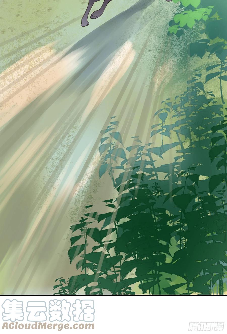 《君心不良》狼族劫亲 第13页