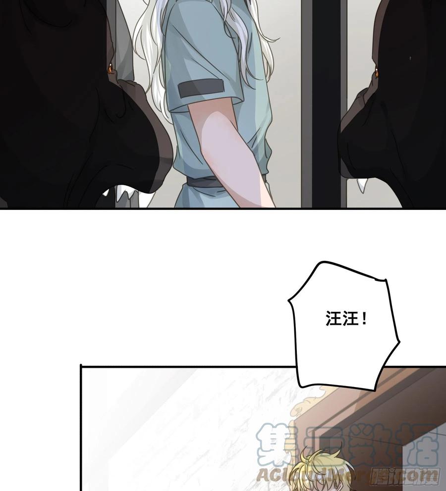 《君心不良》生死状 第31页
