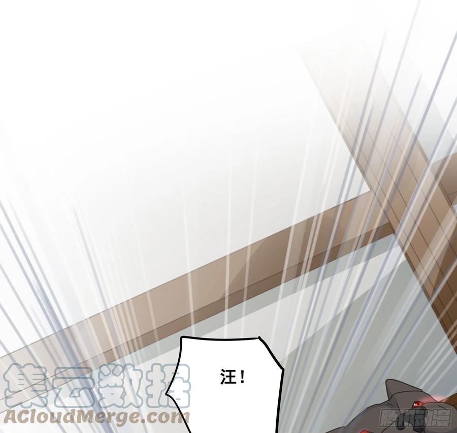 《君心不良》角斗场 第15页