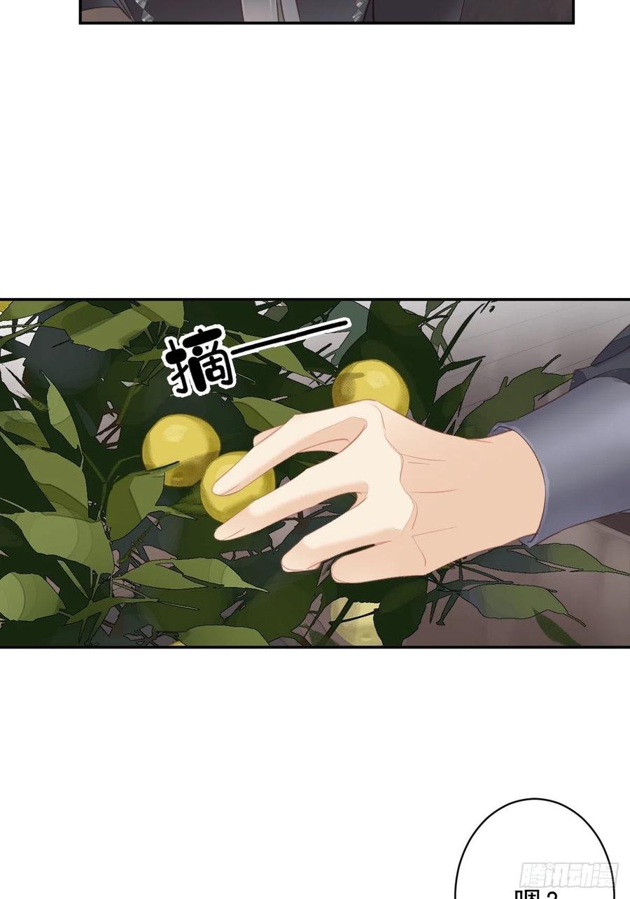 郡主不四嫁 127 她只是一个女人 第20页