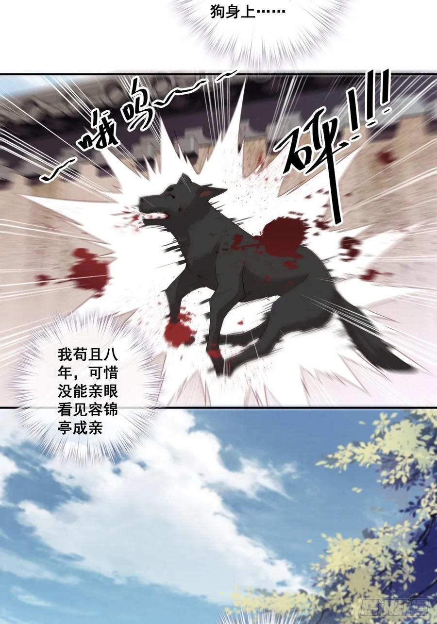 郡主不四嫁 001 可惜了我这条狗命 第28页
