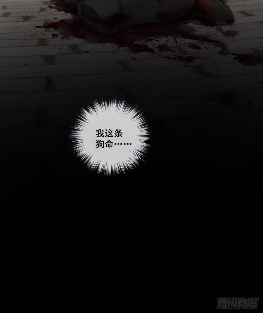 郡主不四嫁 001 可惜了我这条狗命 第30页