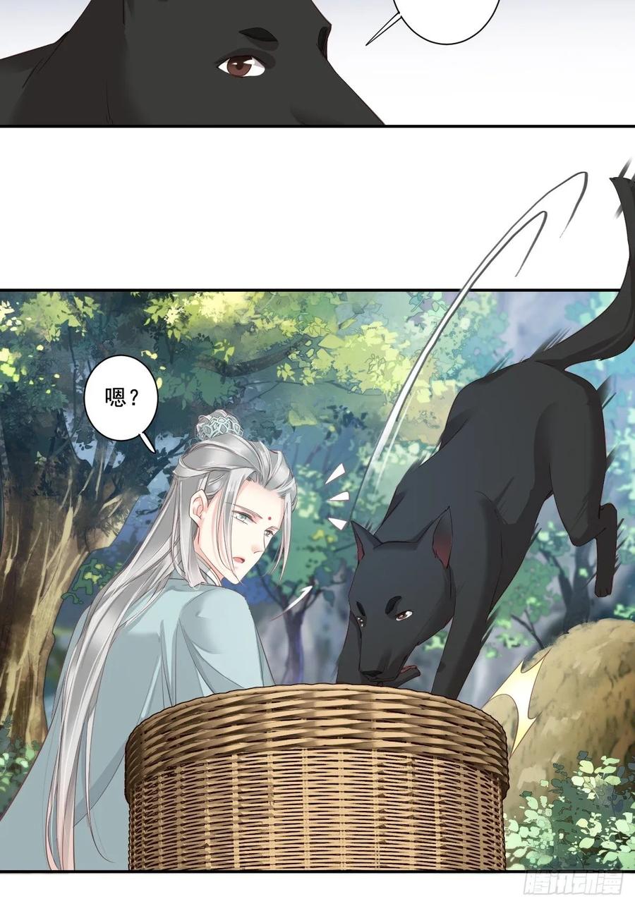 郡主不四嫁 001 可惜了我这条狗命 第14页