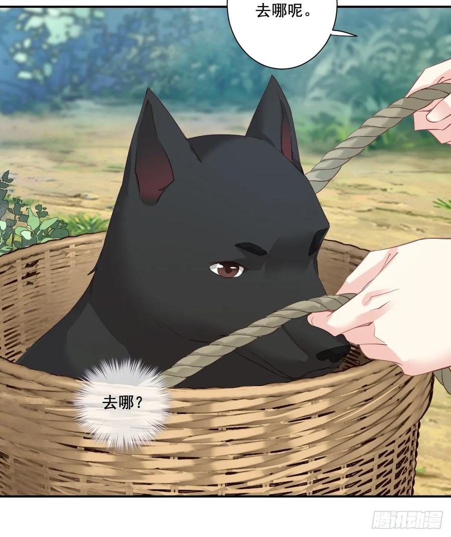 郡主不四嫁 001 可惜了我这条狗命 第16页
