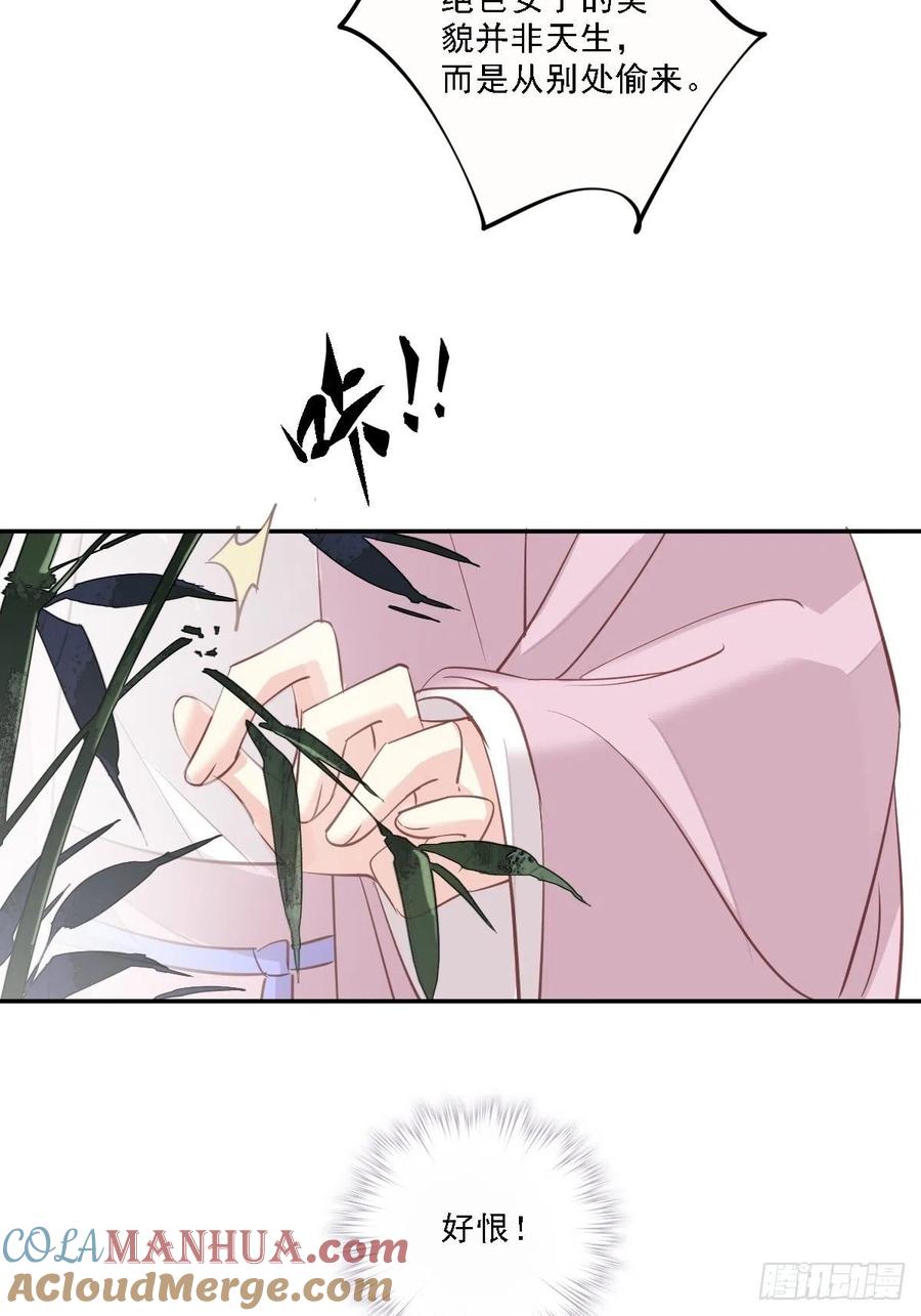 郡主不四嫁 025 这时候就应该乘胜追击 第27页