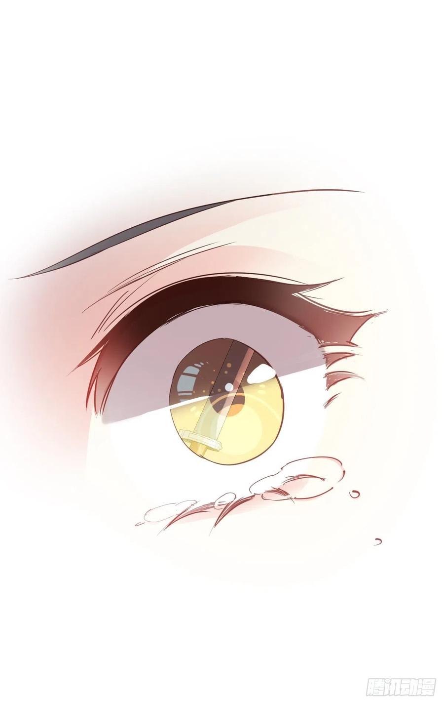 郡主不四嫁 042 我师歌恕的女人！ 第30页