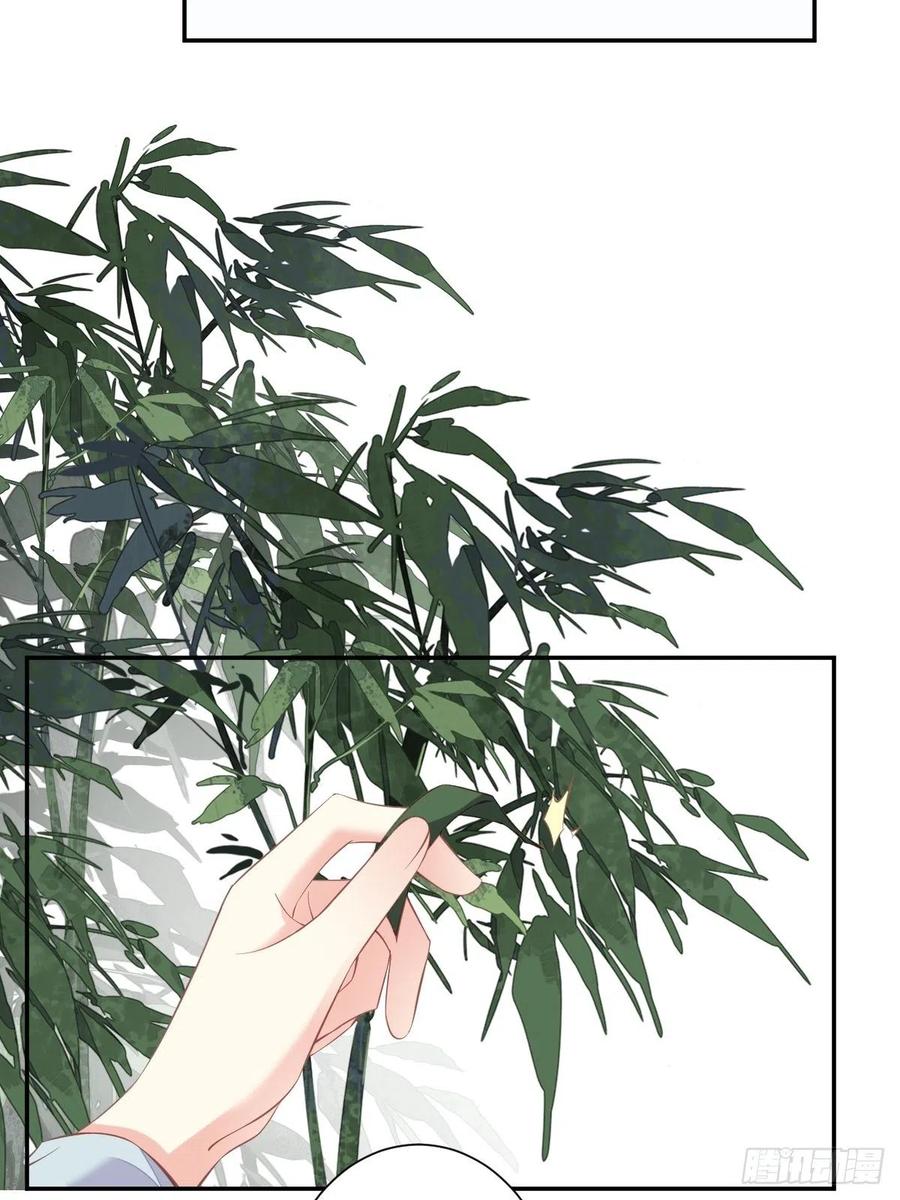 郡主不四嫁 049 不如一并处理了吧 第20页