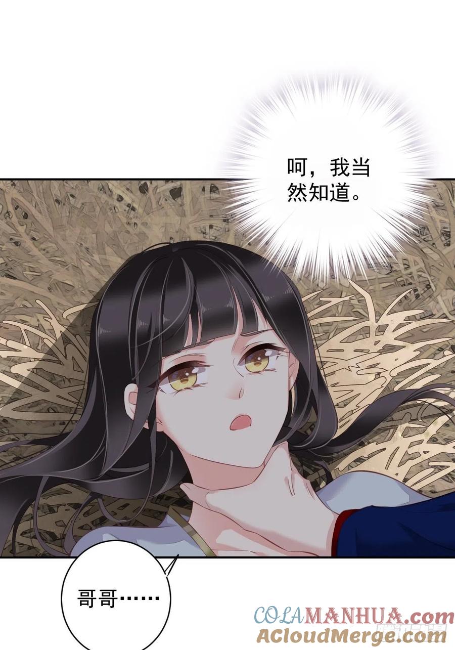 郡主不四嫁 071 哥哥，我是小月亮啊 第25页