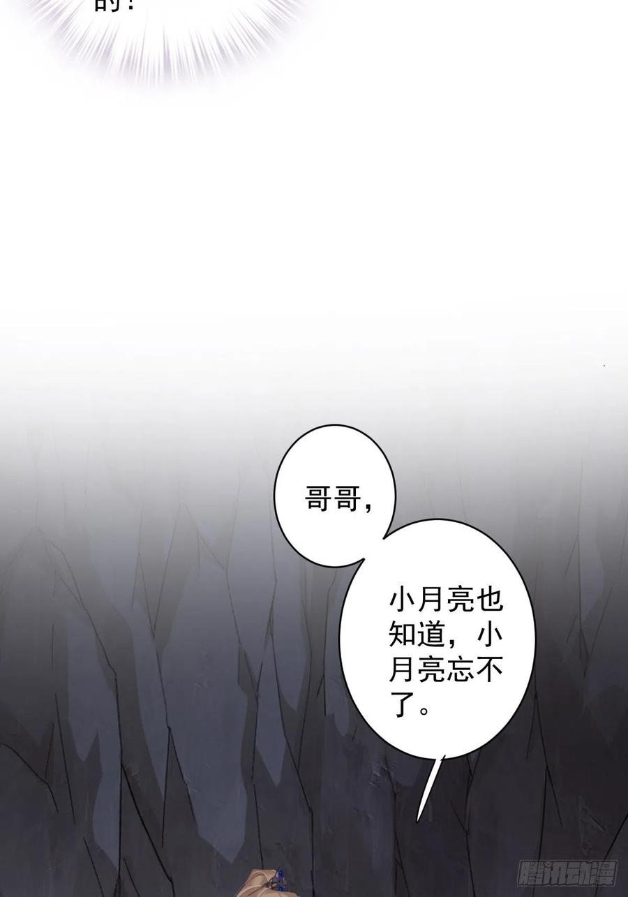 郡主不四嫁 071 哥哥，我是小月亮啊 第45页