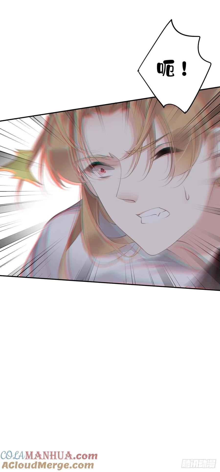 郡主不四嫁 073 她是你的嫂子 第39页