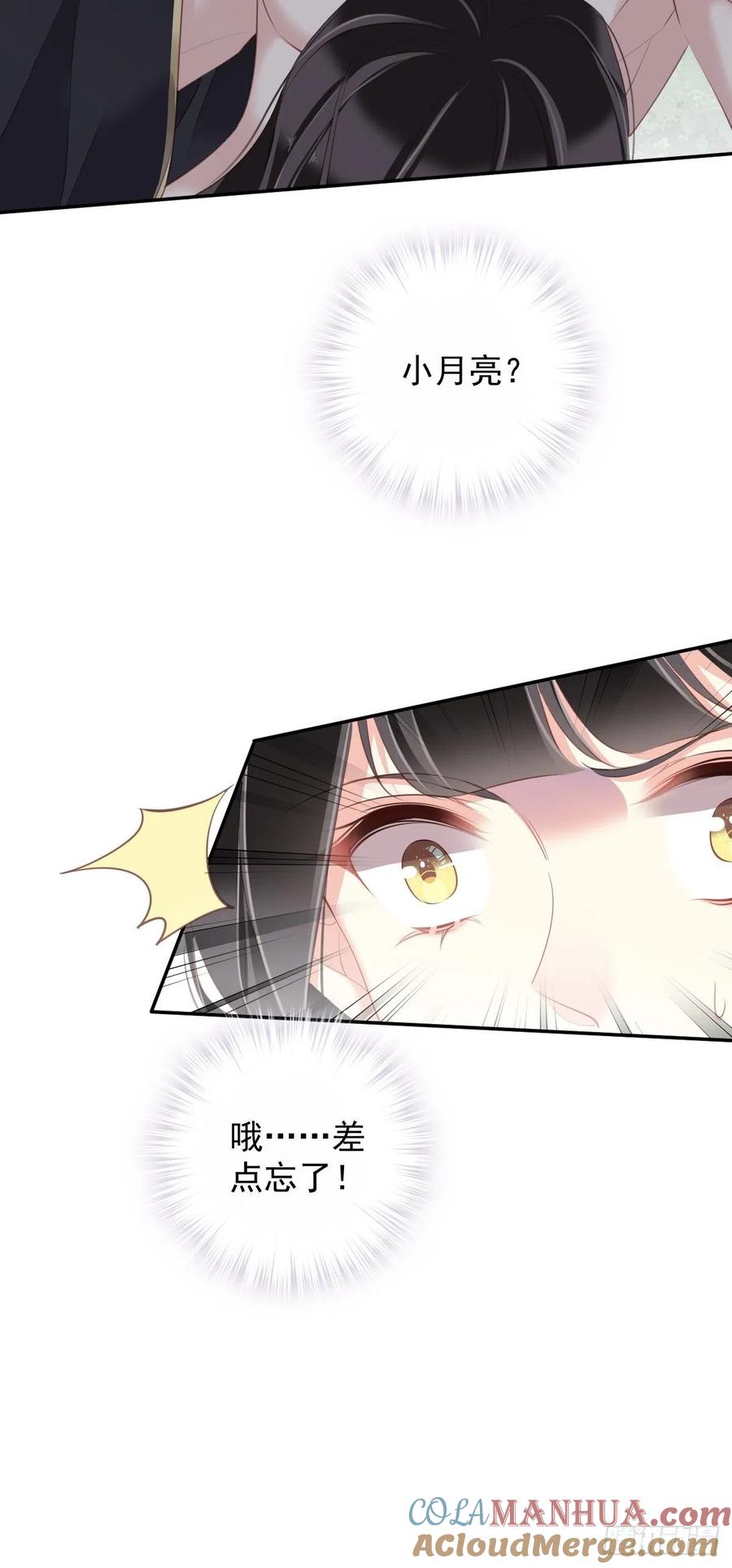 郡主不四嫁 073 她是你的嫂子 第25页