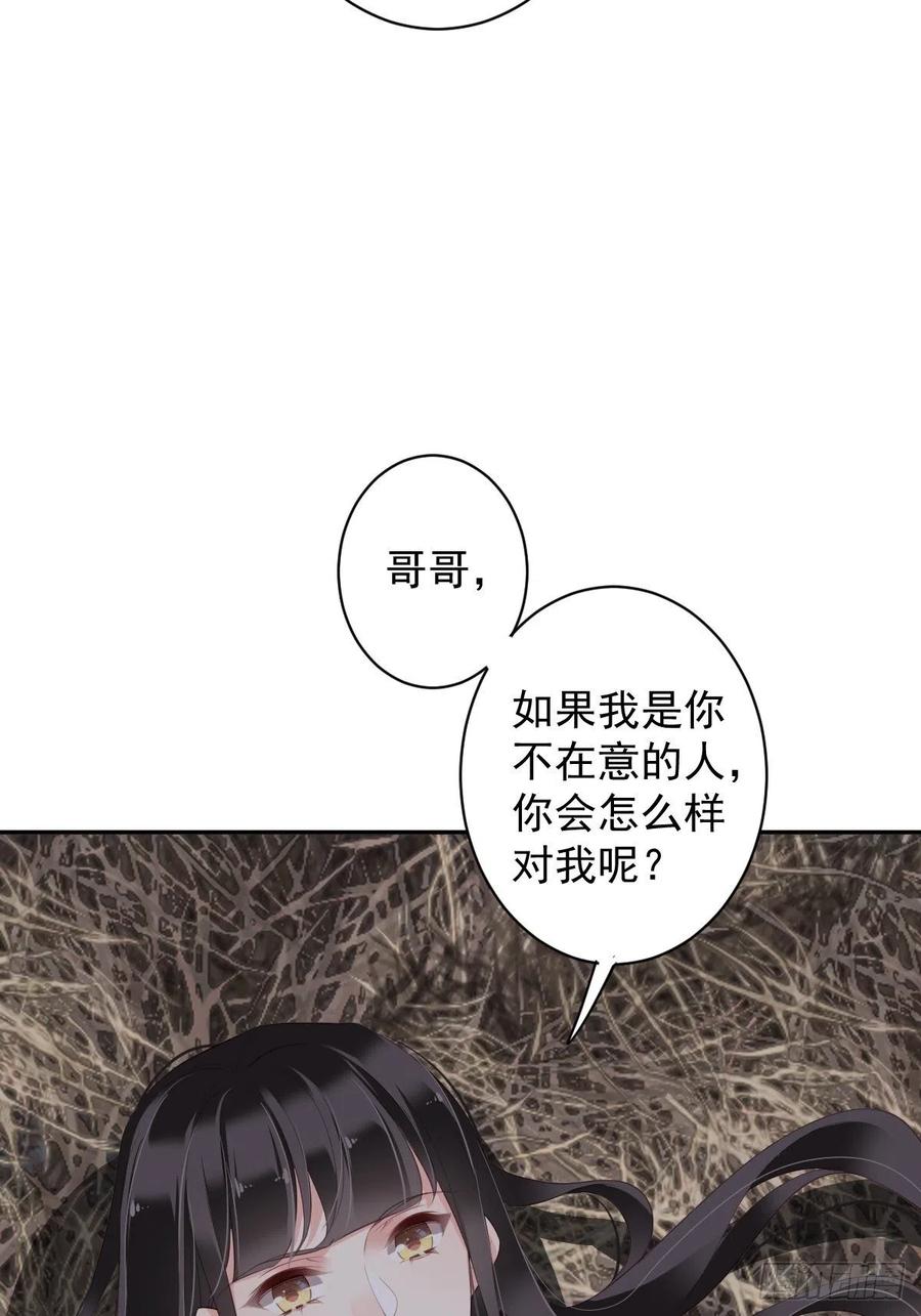 郡主不四嫁 073 她是你的嫂子 第30页
